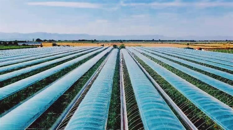 百名摄影师拍富平：梁健作品欣赏