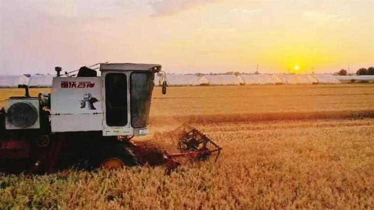 百名摄影师拍富平：窦鸿萍作品欣赏